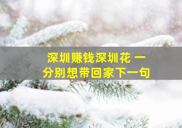 深圳赚钱深圳花 一分别想带回家下一句